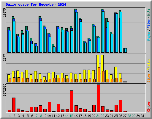 Daily usage for December 2024