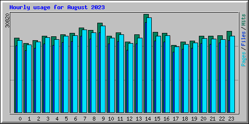 Hourly usage for August 2023