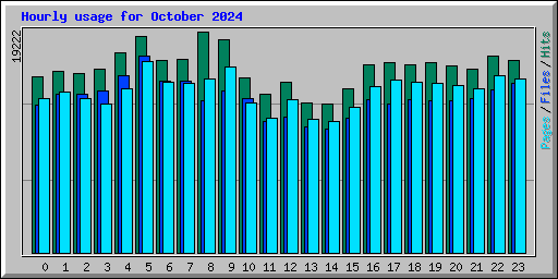 Hourly usage for October 2024