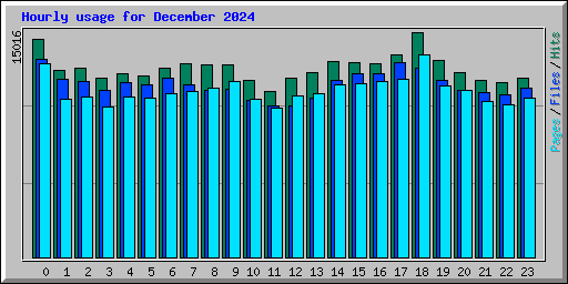 Hourly usage for December 2024