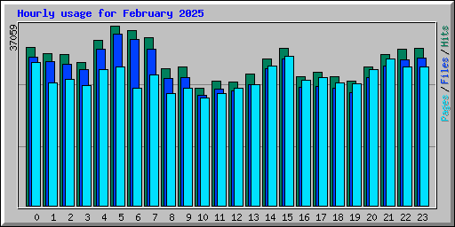 Hourly usage for February 2025