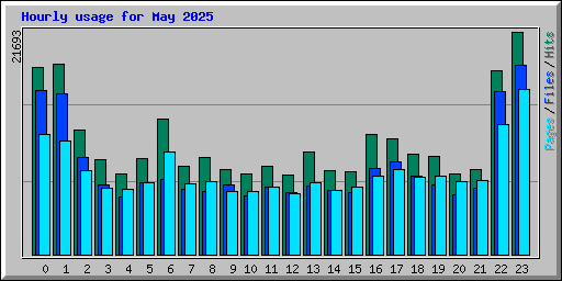 Hourly usage for May 2025