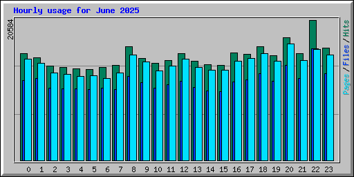 Hourly usage for June 2025