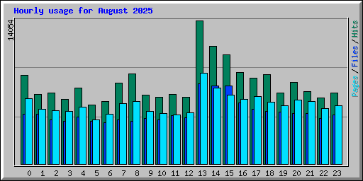 Hourly usage for August 2025