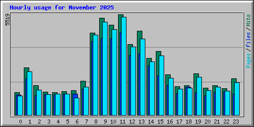 Hourly usage for November 2025